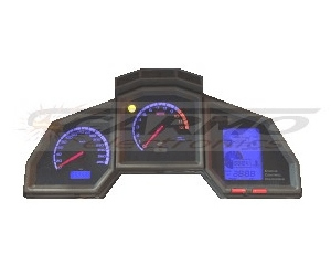 Aprilia_RST_ Futura_dashboard speedo