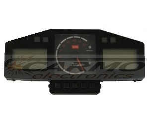 Aprilia_Tuono_Mille_dashboard speedo